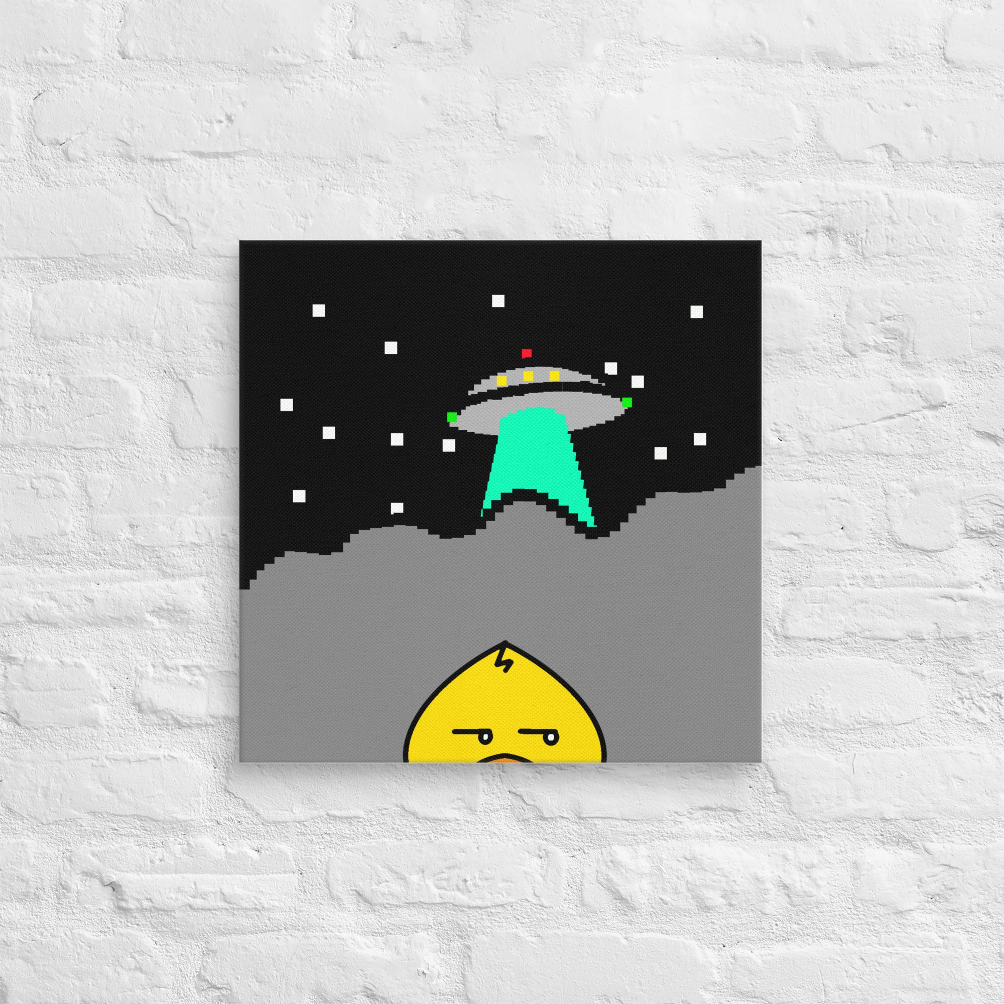 #44 | The Peeking Duck Canvas 18"x18"