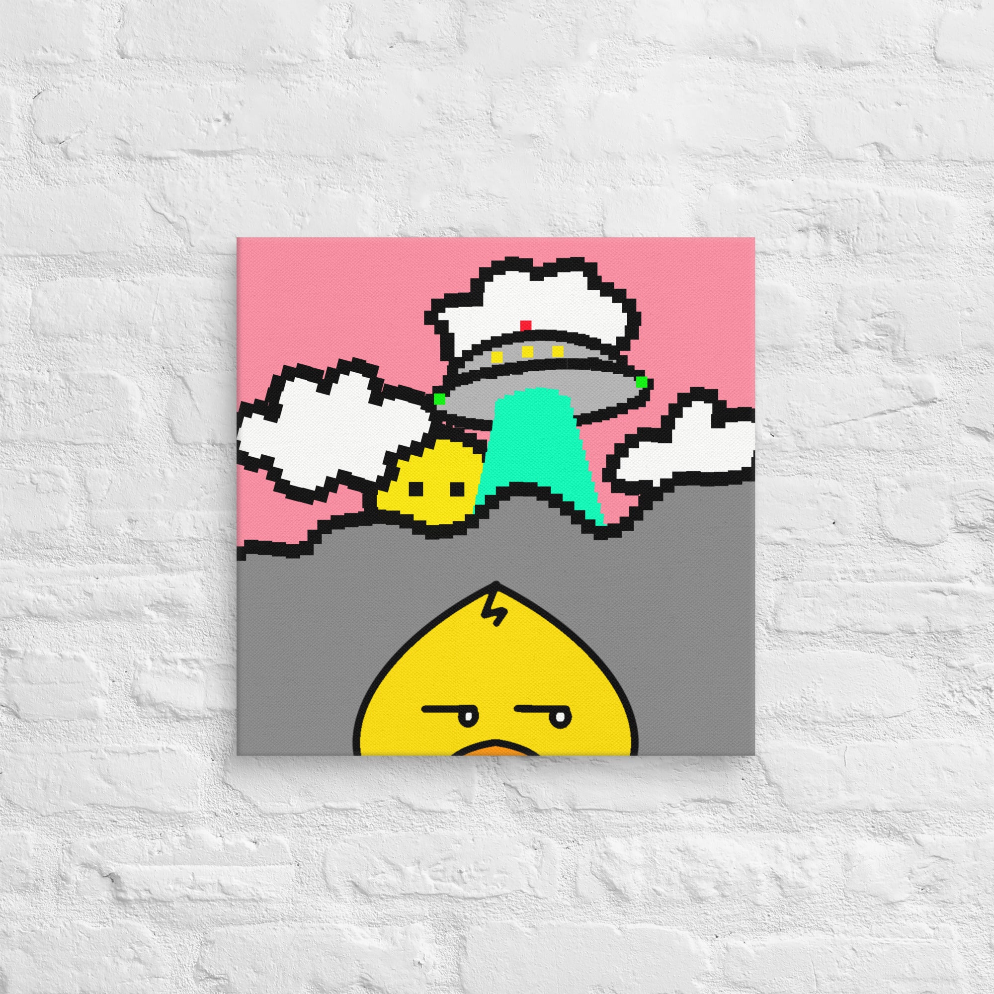 #43 | The Peeking Duck Canvas