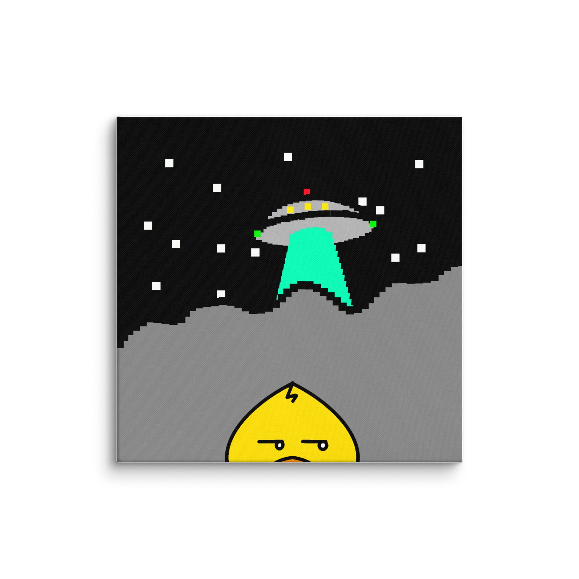 #44 | The Peeking Duck Canvas