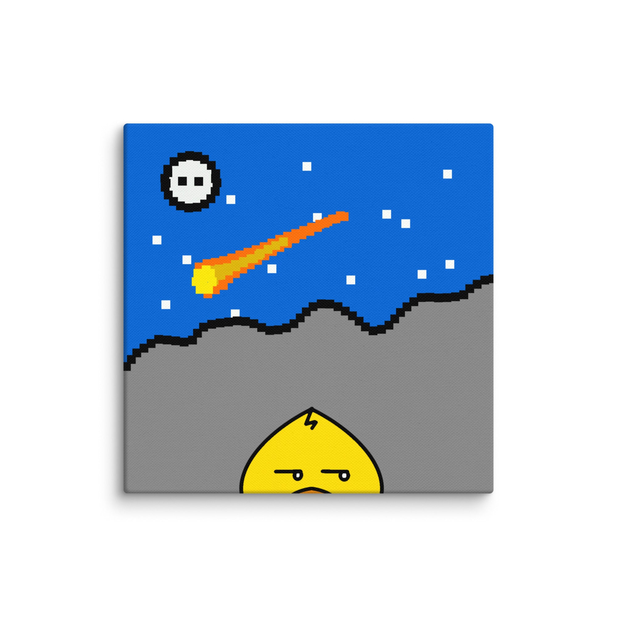 #32 | The Peeking Duck Canvas