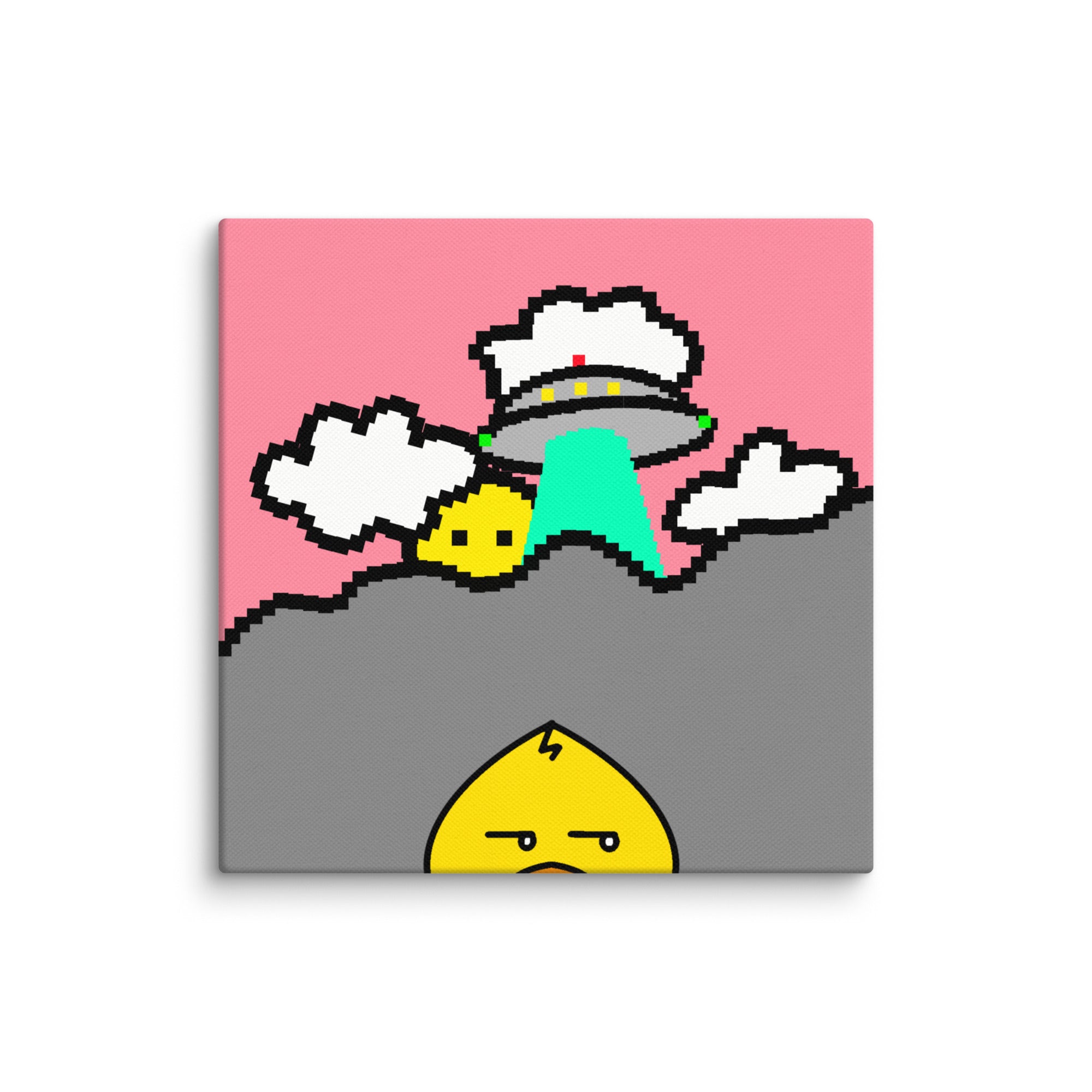 #43 | The Peeking Duck Canvas