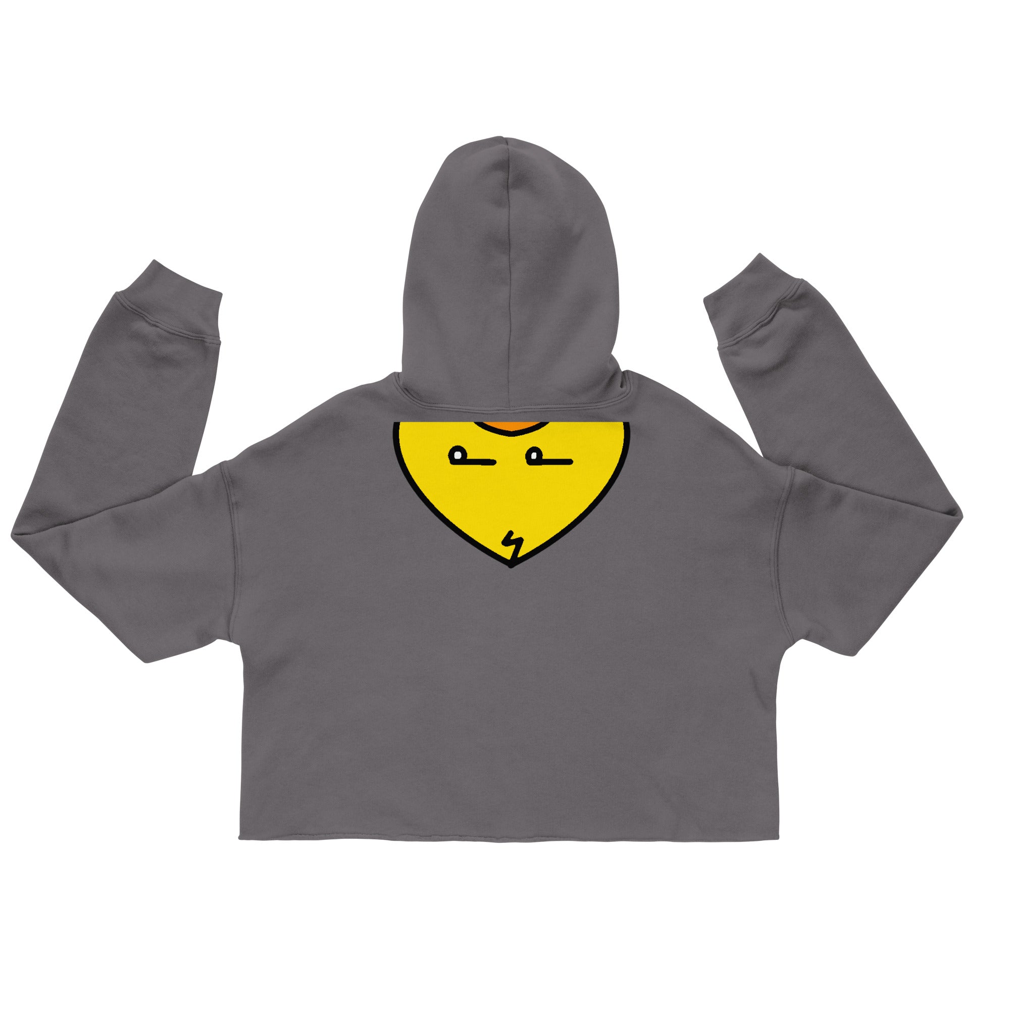 womens-cropped-hoodie-storm-back